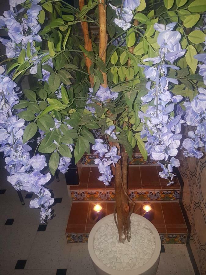 אליקאנטה Big Apartment With Unique Patio Near Santa Barbara Castle מראה חיצוני תמונה