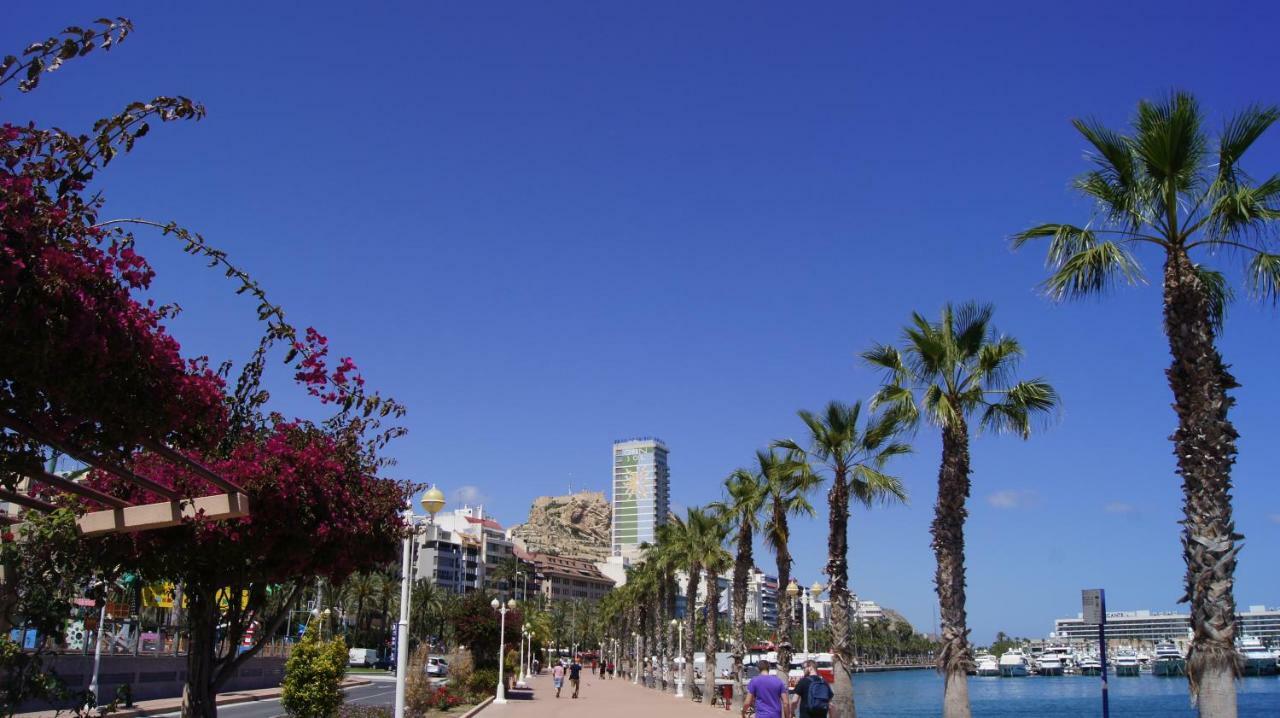אליקאנטה Big Apartment With Unique Patio Near Santa Barbara Castle מראה חיצוני תמונה